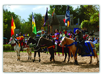 "Festival of Horses"